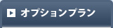 オプションプラン